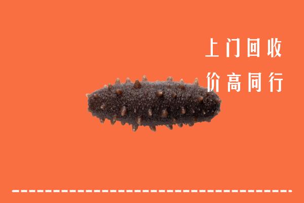 通辽回收海参